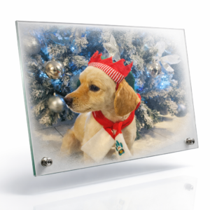 Placa de vidrio sublimada con fotografía personalizada y acabado brillante de alta definición.